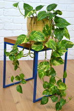 Load image into Gallery viewer, Pair Modern designer stools /side tables in natural Oak blue frame
