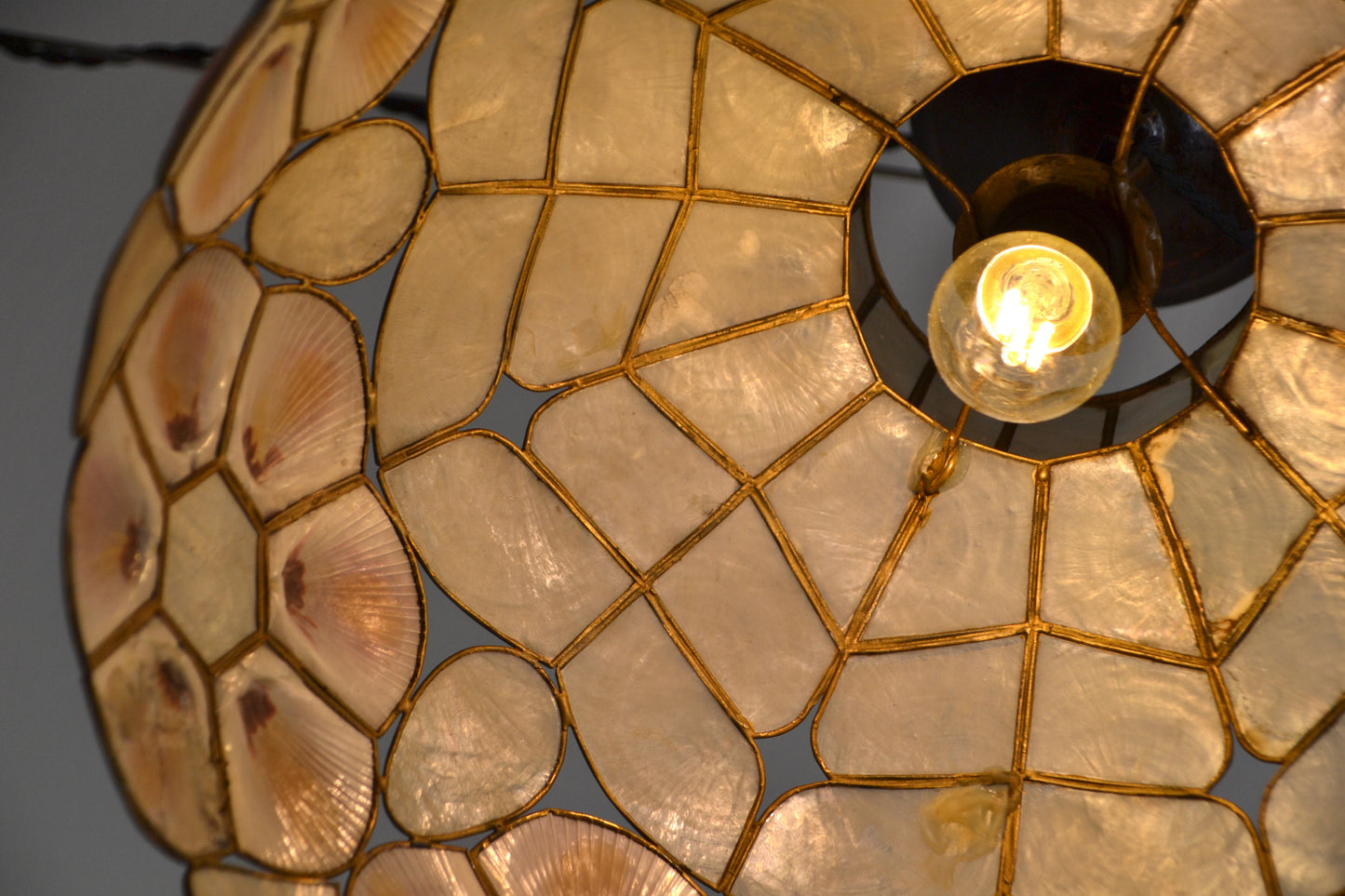 Rare Art Deco Sea Shell pendant light - Alpha Lite Sydney c1940s